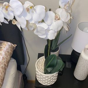 large fake orchid